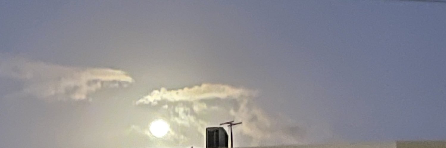 Joanie banner