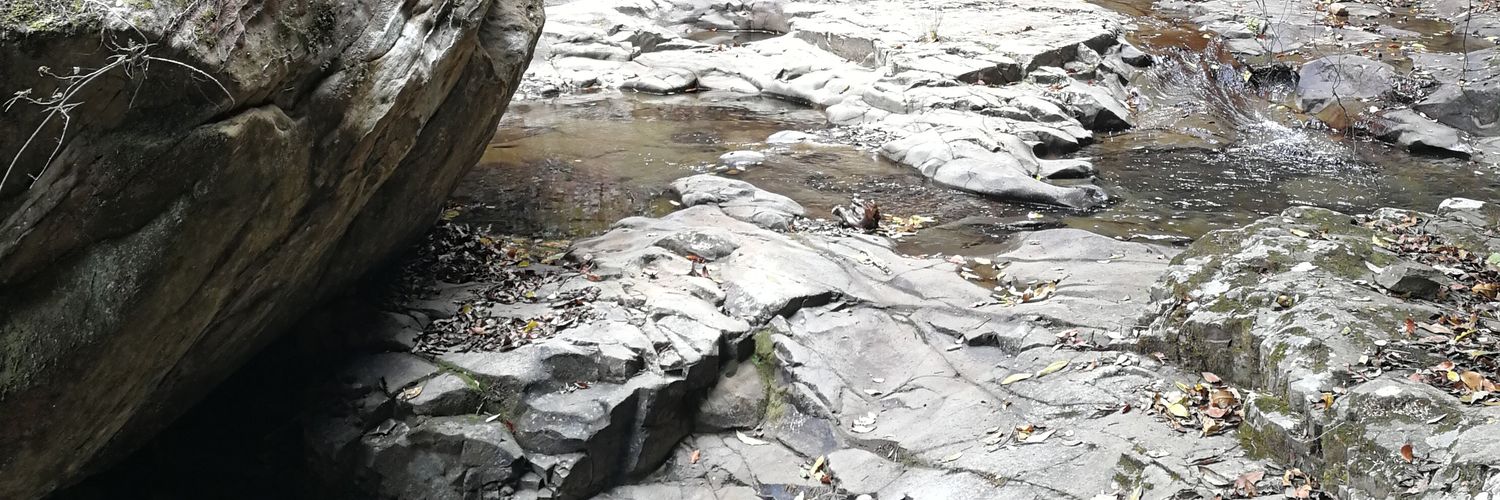 Robert Sison (@robs@aus.social) banner