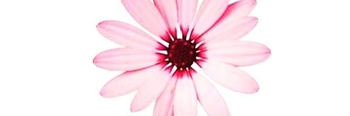 quelvares's profile banner image