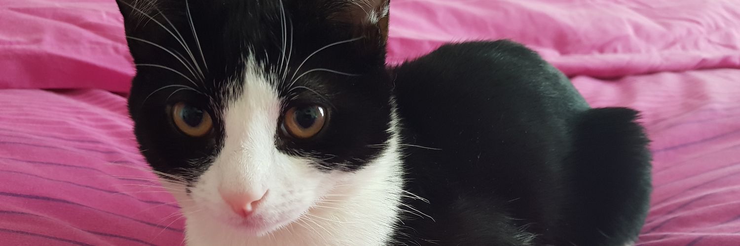 kez_henry's profile banner image