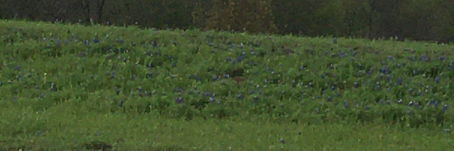 melmowery's profile banner image