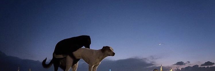 t____a____m's profile banner image