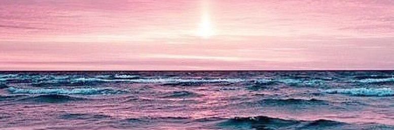 rummysingh_'s profile banner image