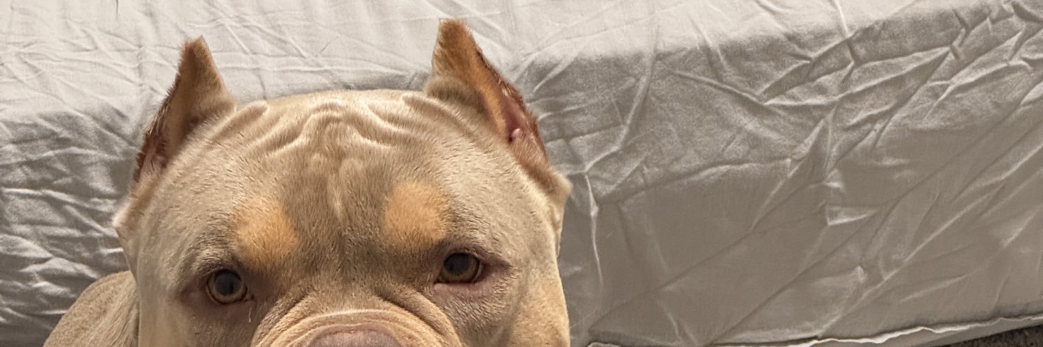 TheChelsMonroe's profile banner image