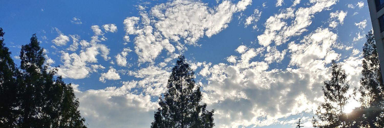 ultraflyingpig's profile banner image