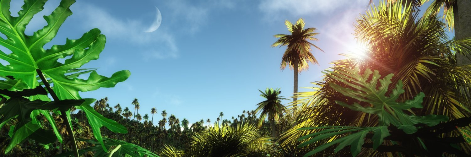 pushpa_eth's profile banner image