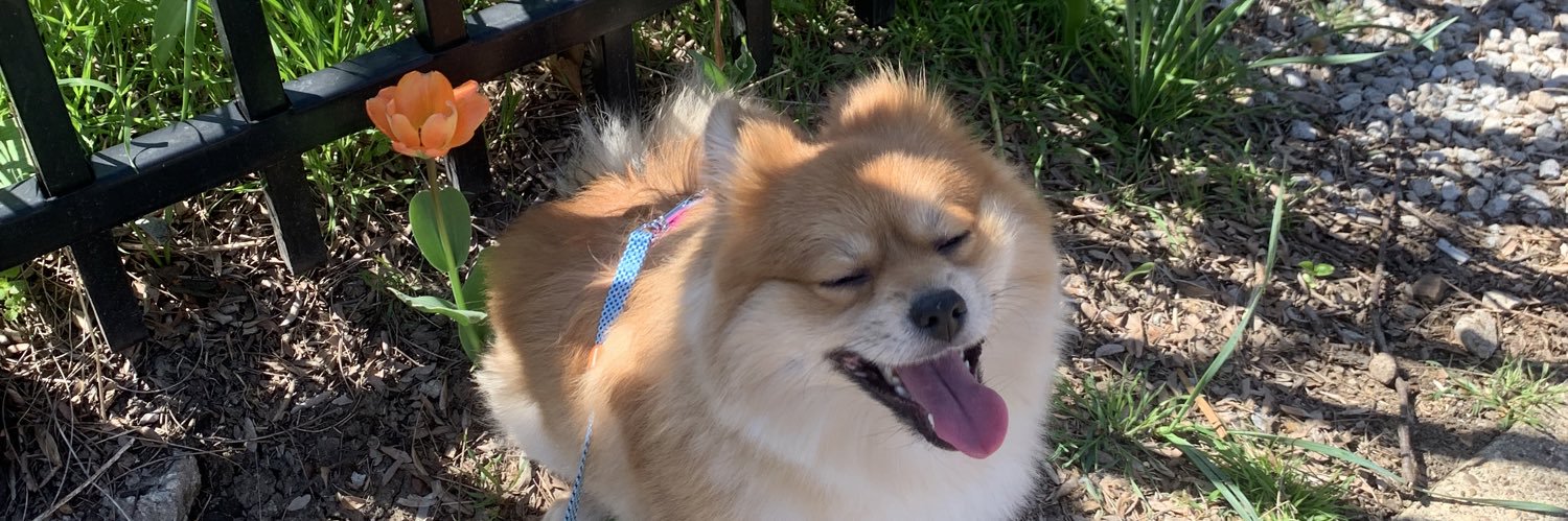 dom_t_'s profile banner image