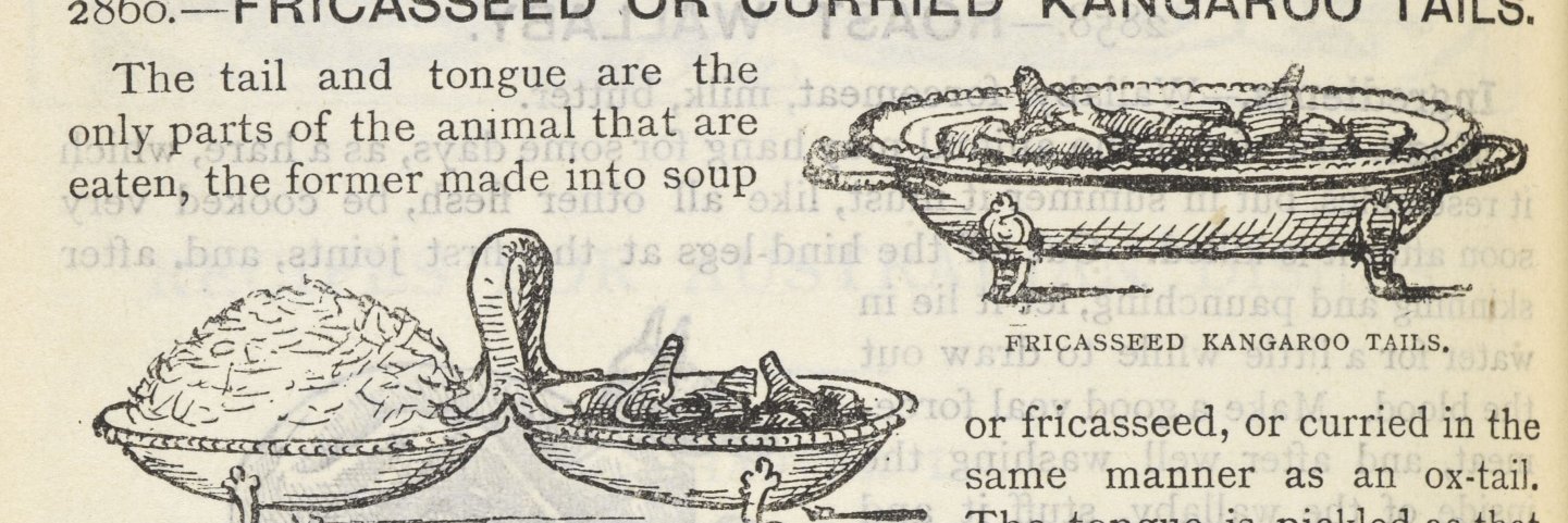 Blake Singley banner