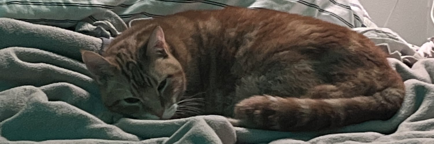 forlornfilth's profile banner image