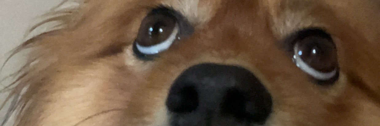 beansowner415's profile banner image