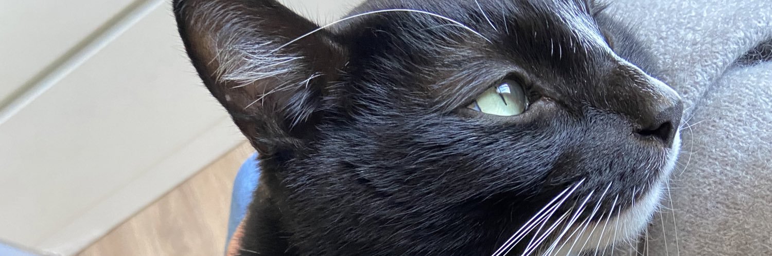 HELLLCAATT's profile banner image