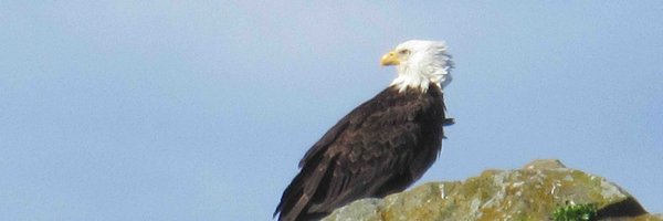 CBeamis Profile Banner