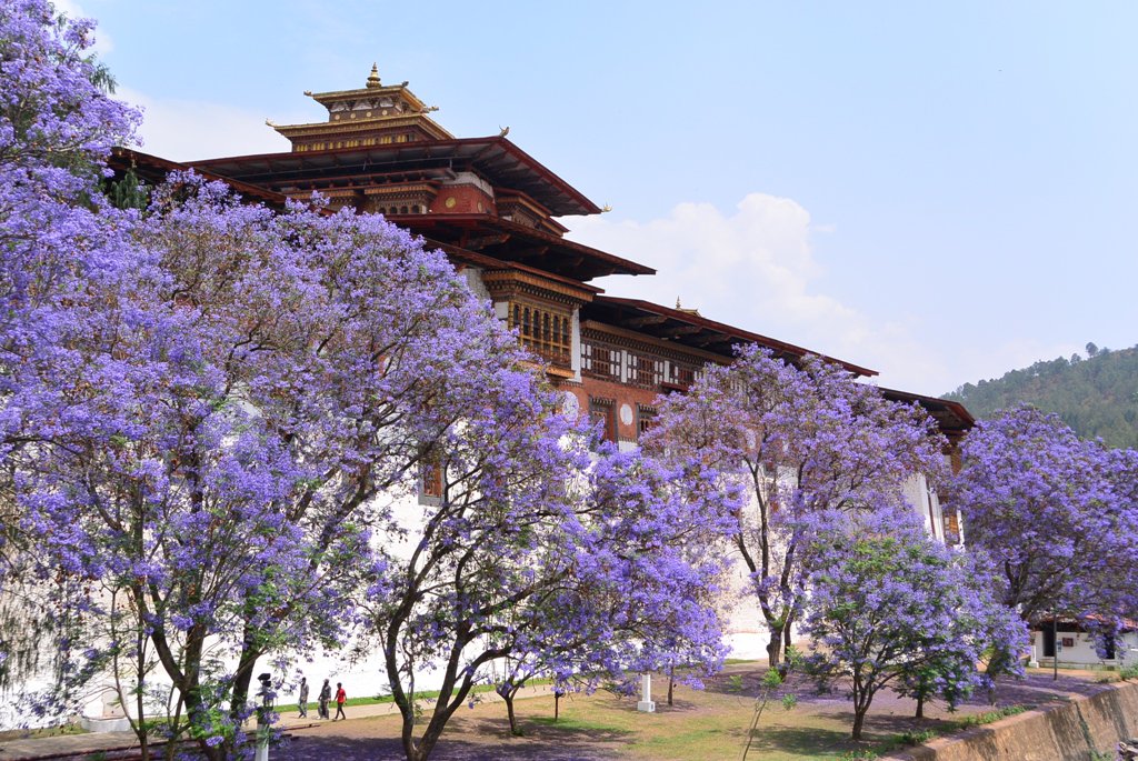 RobinBhutan's profile banner image