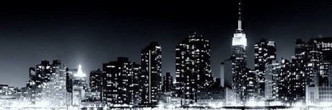 NickyDemu's profile banner image