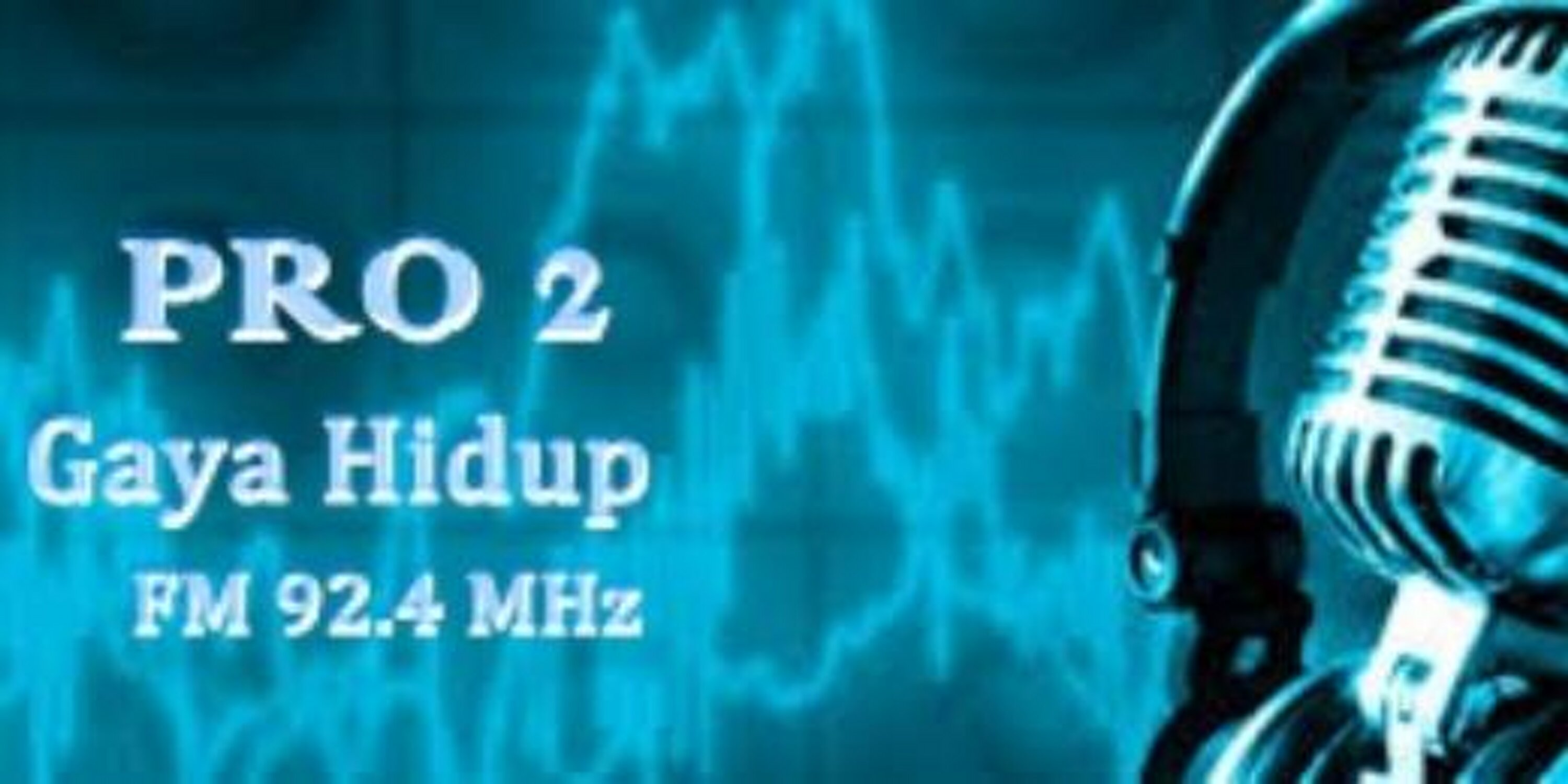 Pro2Fm's profile banner image