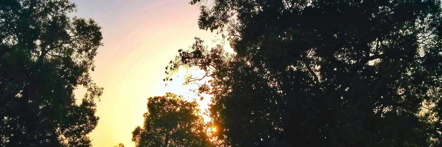 rachitwatts's profile banner image