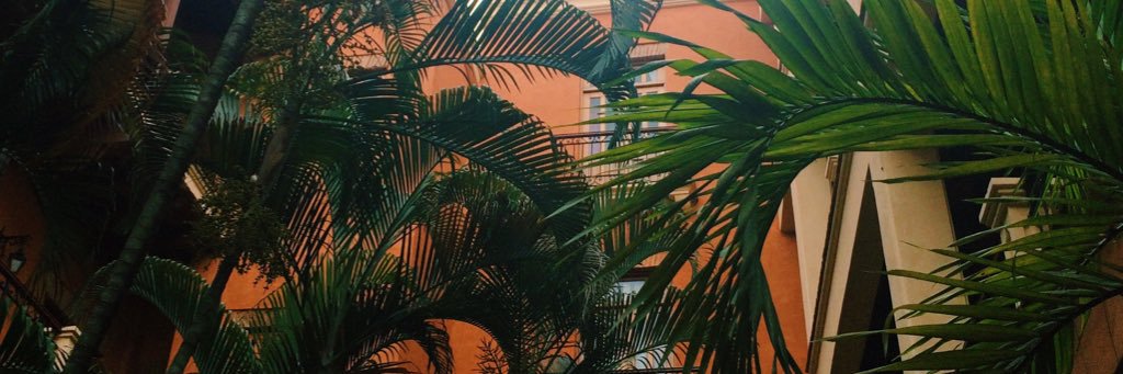 imaanidelrey's profile banner image