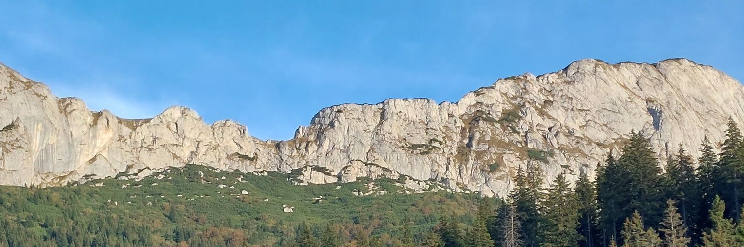 cascadorys's profile banner image