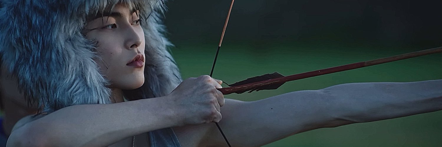 zev 🐬 banner