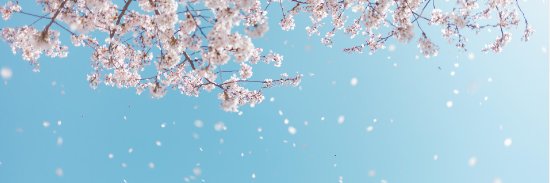 dadang889's profile banner image