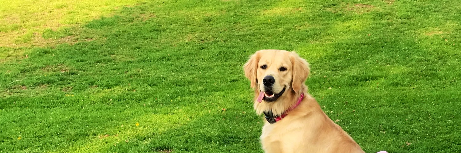 KhalKella's profile banner image