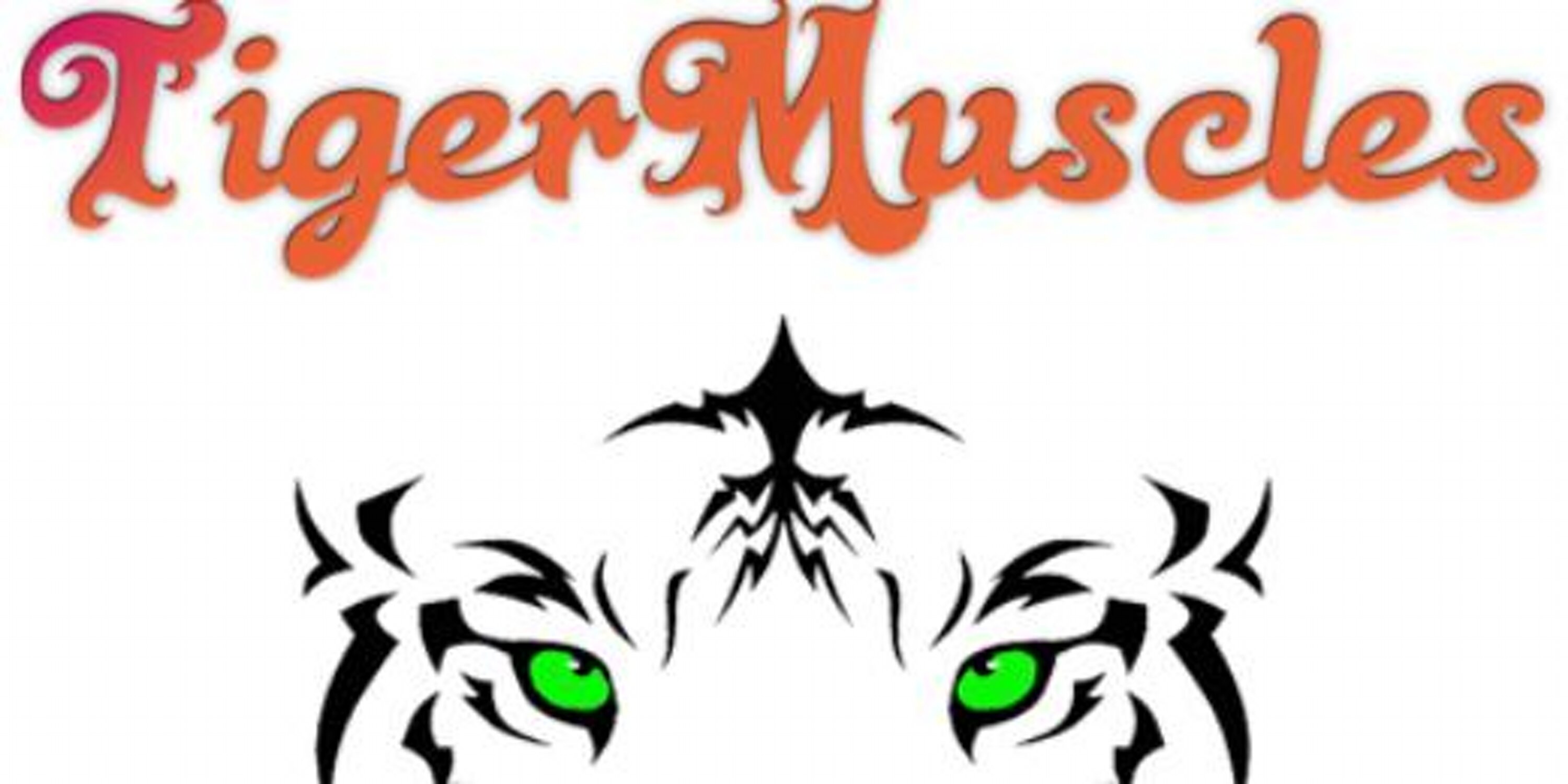 TigerMuscles's profile banner image