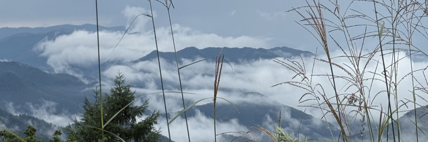 野生の哲学者 banner
