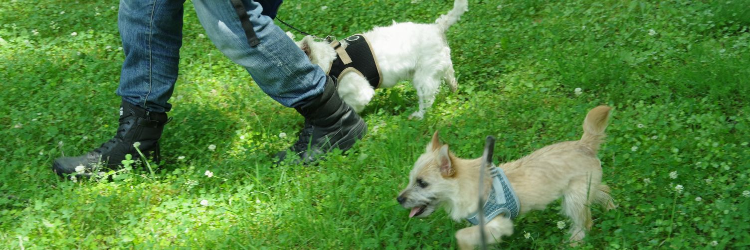 98_64公式#⃣ banner