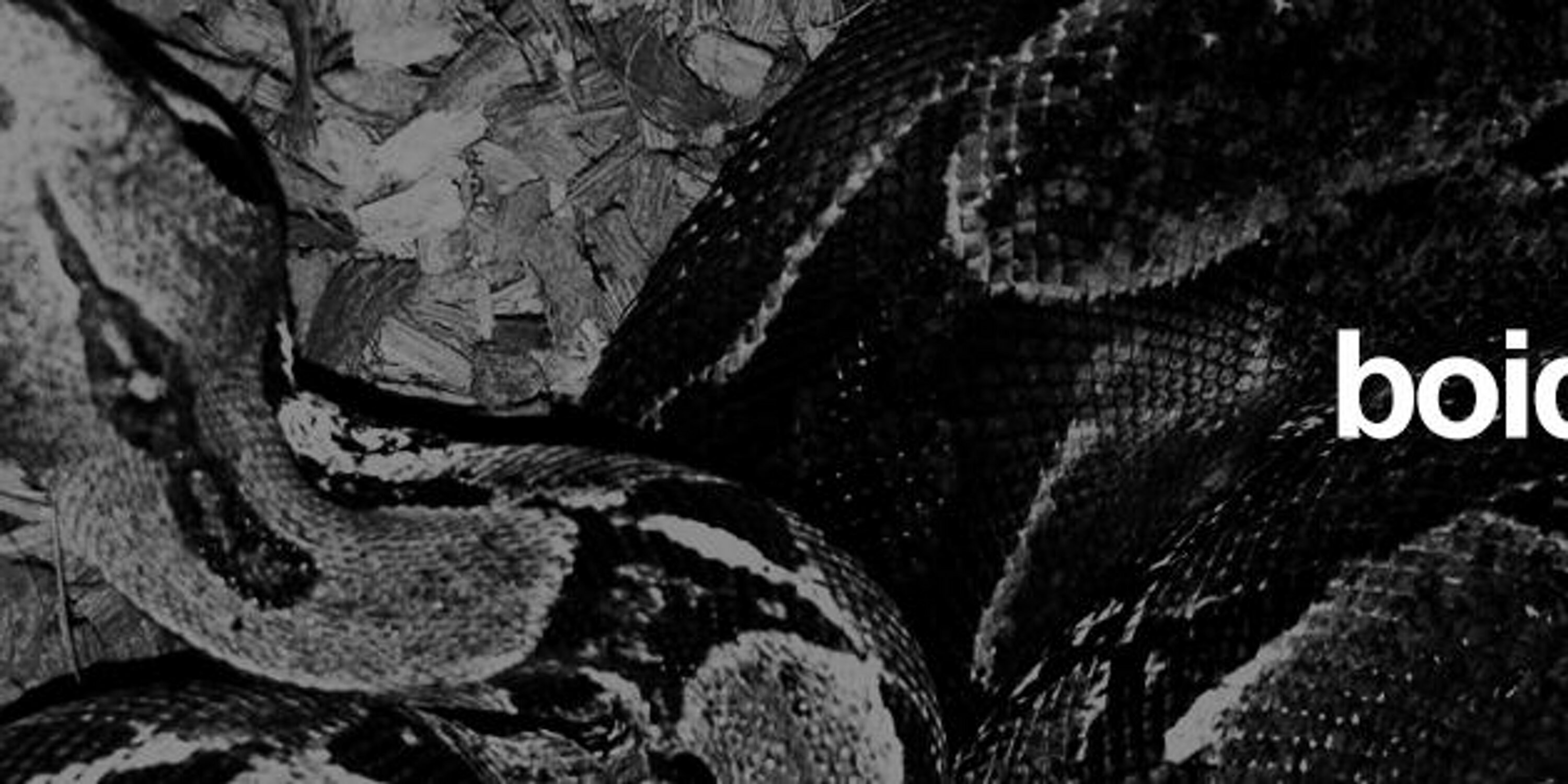 boidaemusic's profile banner image