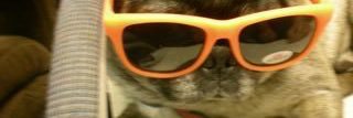 qmo_re's profile banner image