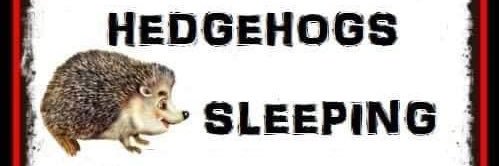 paul stockham banner