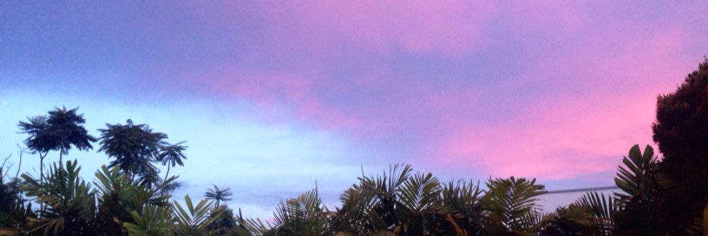 ohsabby_'s profile banner image