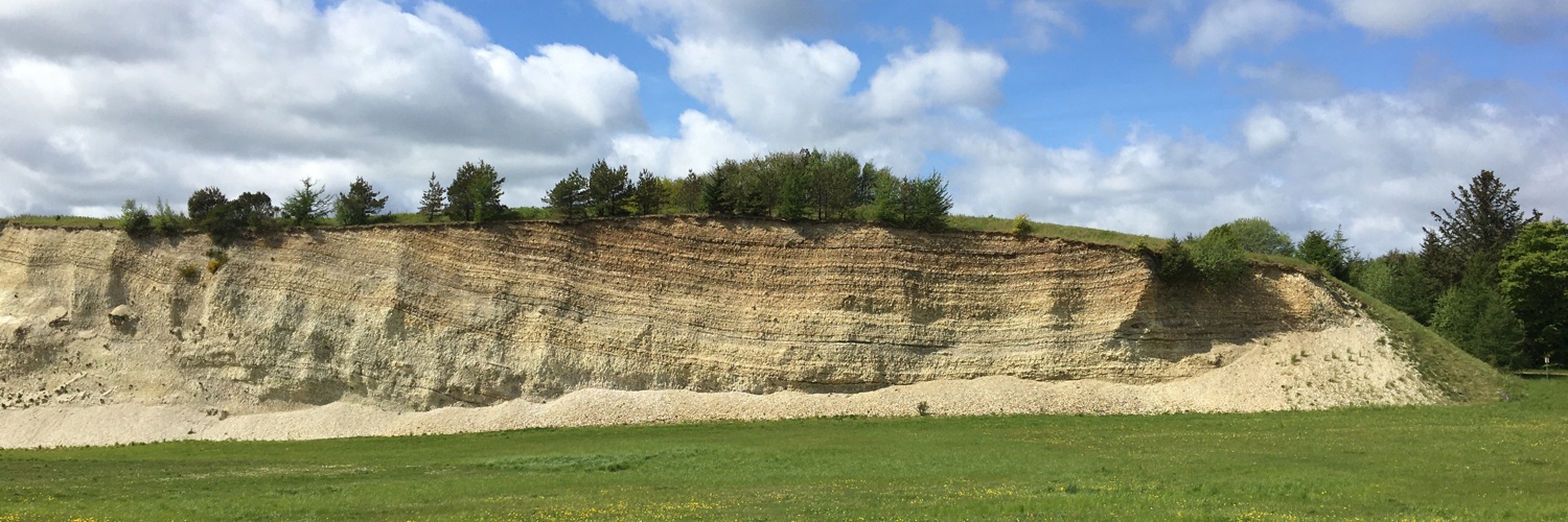 Denitza Voutchkova banner