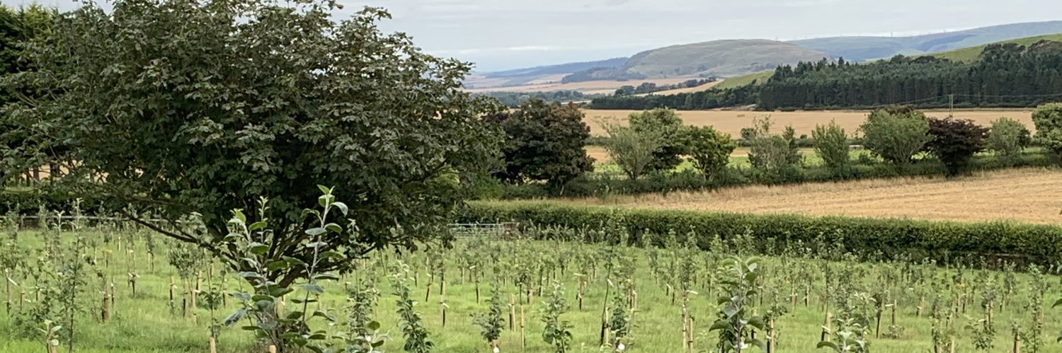 Russell Calder banner