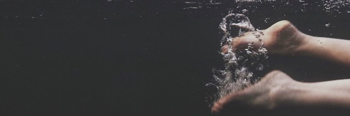 cannylark's profile banner image