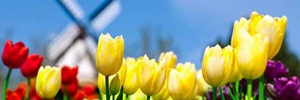 haniffaujiah's profile banner image