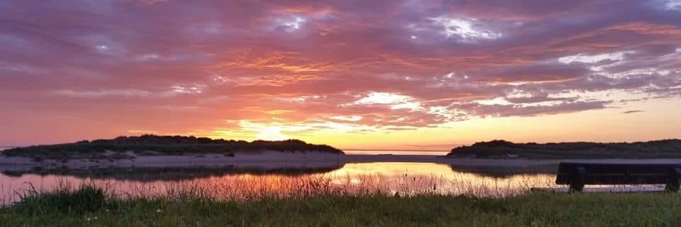 Alan 🏴󠁧󠁢󠁳󠁣󠁴󠁿🏳️‍🌈🇪🇺 banner