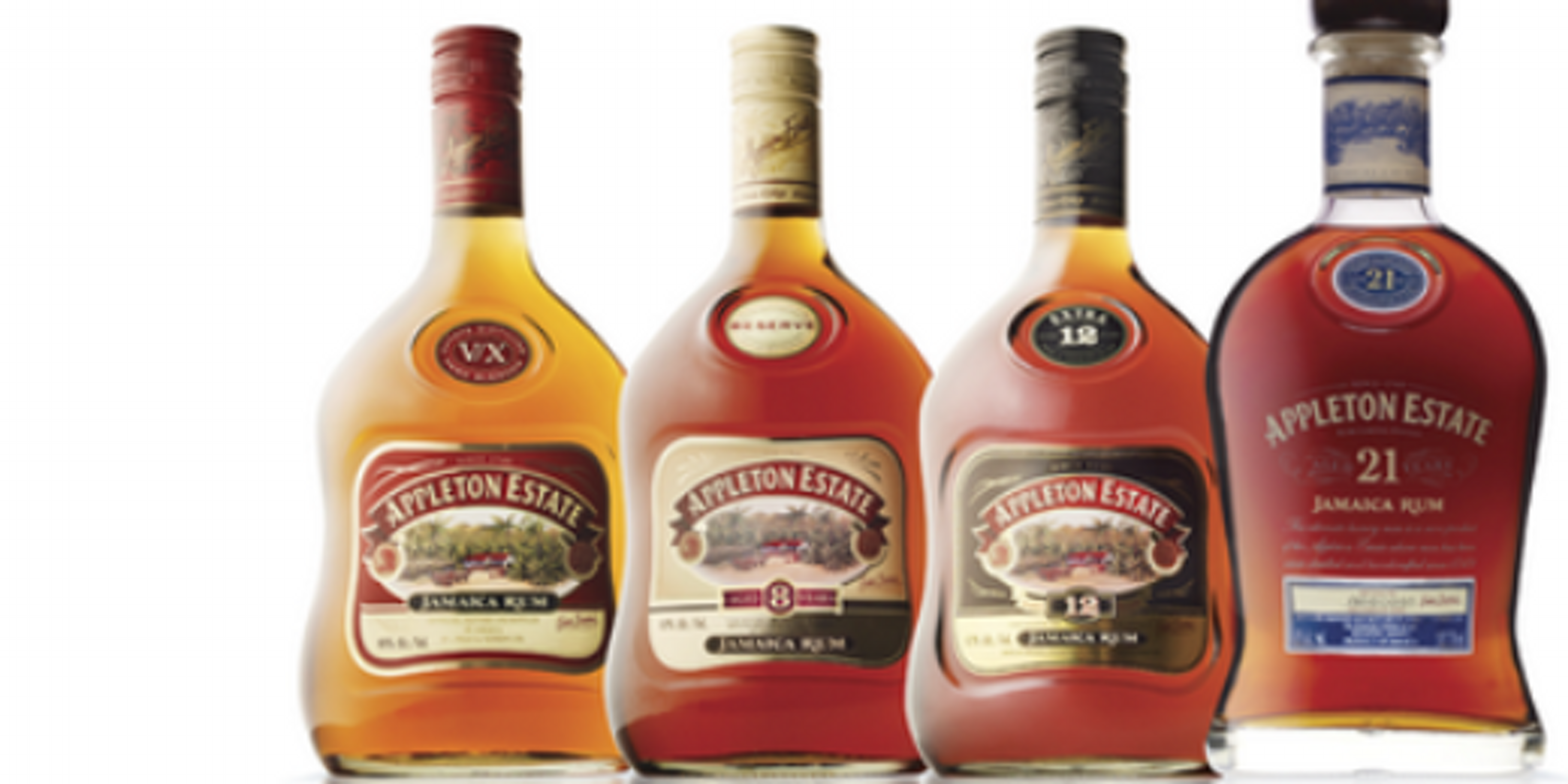 David Morrison banner