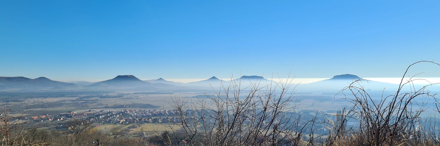 Balint Balazs 🐝 🌱 🌗 🥊 banner