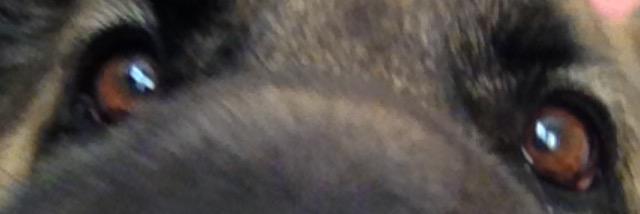 LewisKeable_'s profile banner image