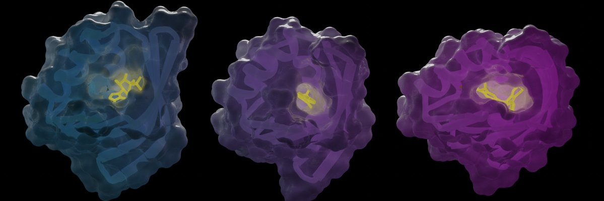 Benjamin Basanta 🧉 banner