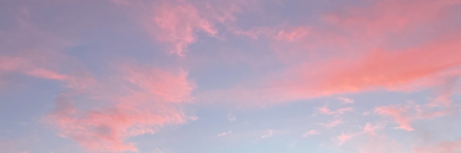 narrybelle's profile banner image