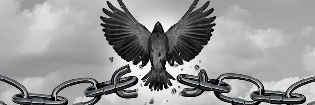 Serifir's profile banner image