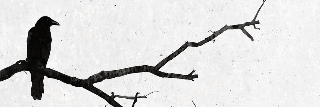 miyugoqu's profile banner image