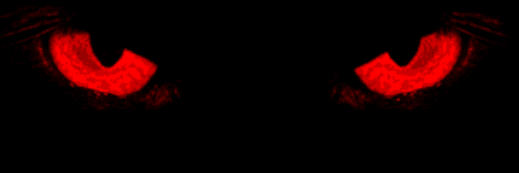 WRInvestigators's profile banner image