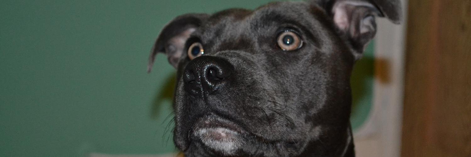 Rudyfierceface's profile banner image