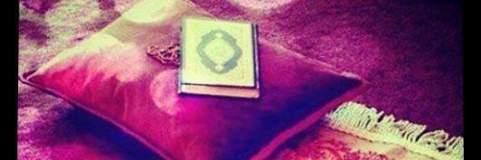 ZeynepAby's profile banner image