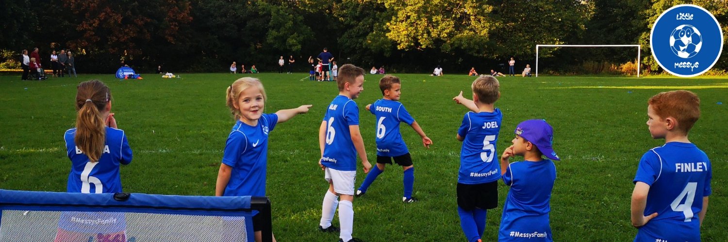 LittleMessysYS's profile banner image