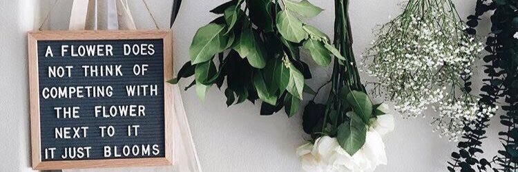 mary_napper's profile banner image