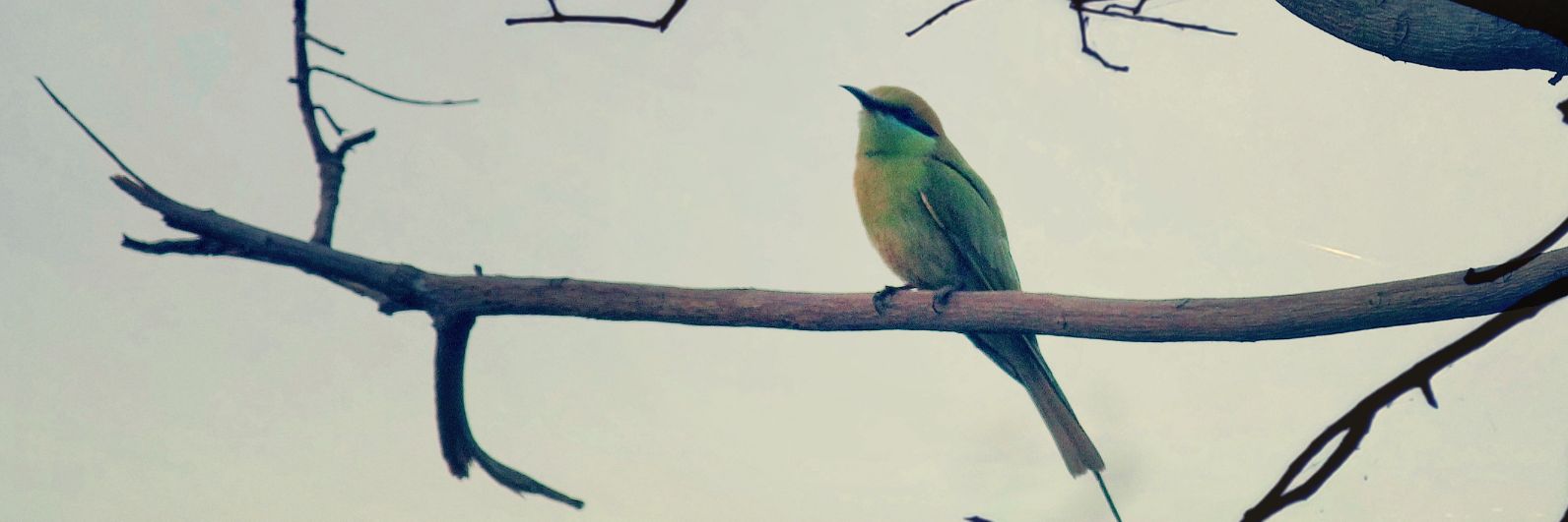 kapil1315's profile banner image